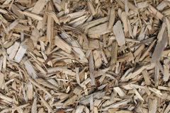 biomass boilers Baconsthorpe